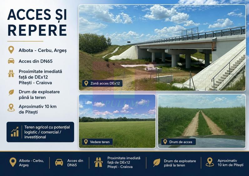 Teren agricol extravilan de 94000 mp, în Albota