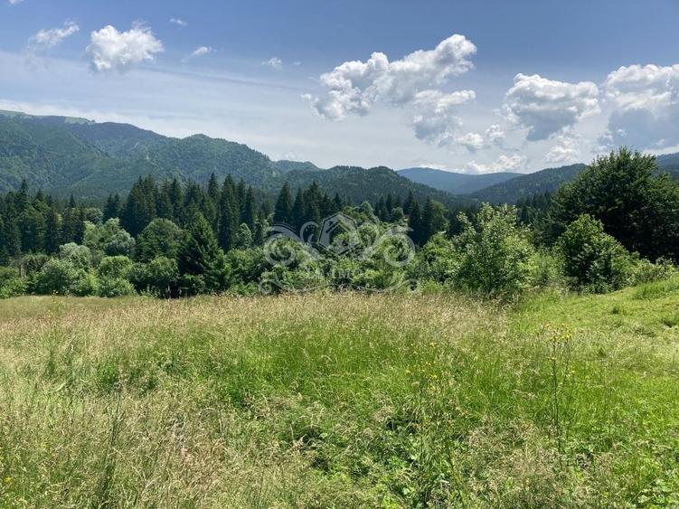 Vand teren intravilan Predeal, Timisul de Sus ideal obiective turistice - 2