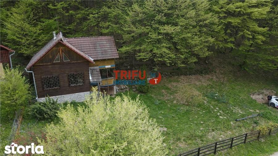 Casa de vacan?a la padure | Teren 891 mp | Valea Ighielului - 14