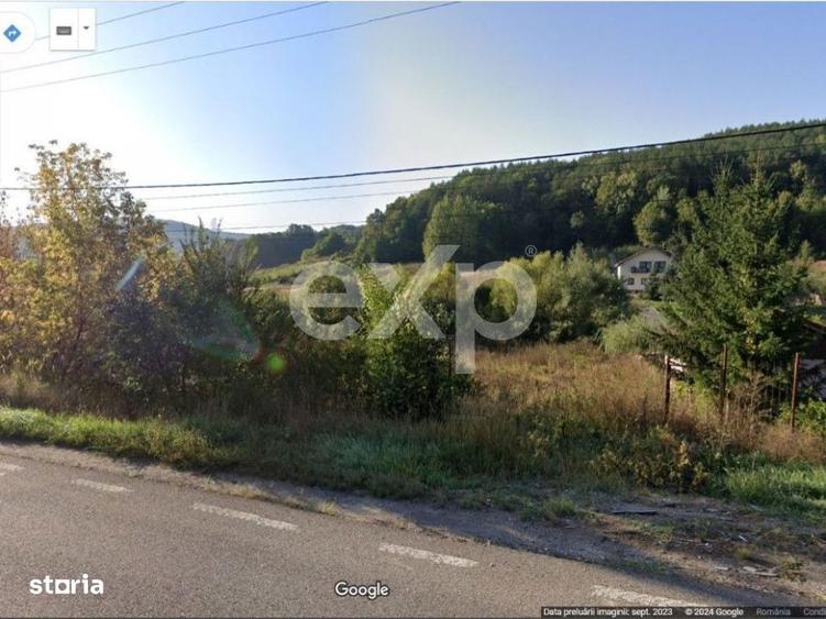 Teren 7,797mp Podis / Calea Moinesti - 3