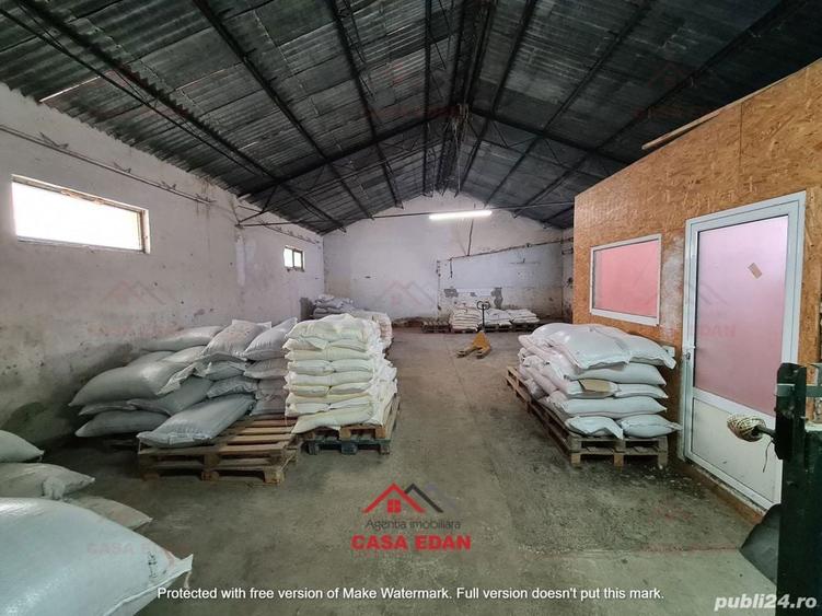 Hala in Campina--280 mp--800e - 1