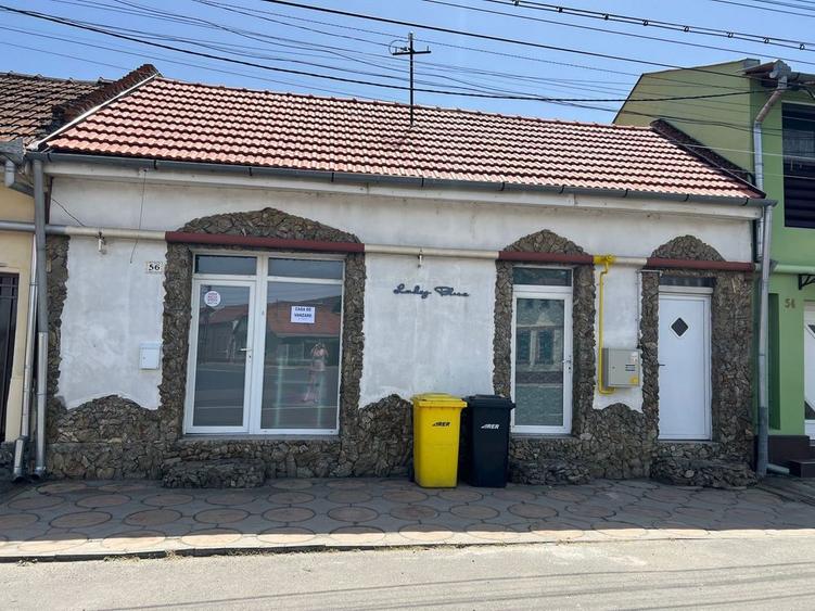Casa de vanzare in Lugoj - 2
