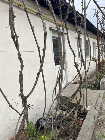 Casa de vanzare str Fermierului cartier Brestei - 5