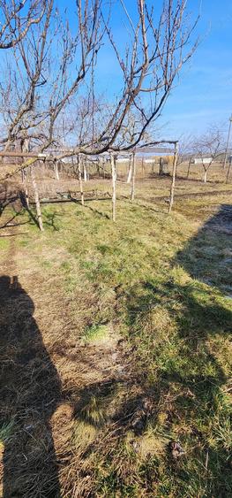 Casa de vanzare Suceava - 1