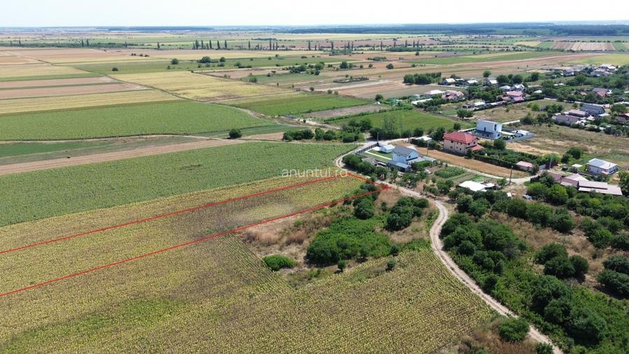 Darza, teren intravilan, 1ha langa case, deschidere 22 m