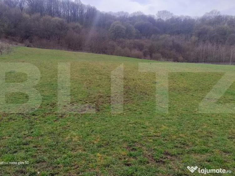 Teren superb 2.500 mp in Nicula lini?te, natura ?i p - 1