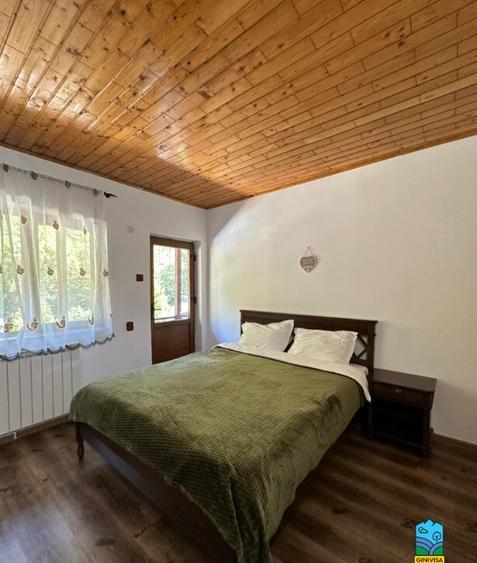 Pensiune 8 dormitoare Gureni, Gorj - 5