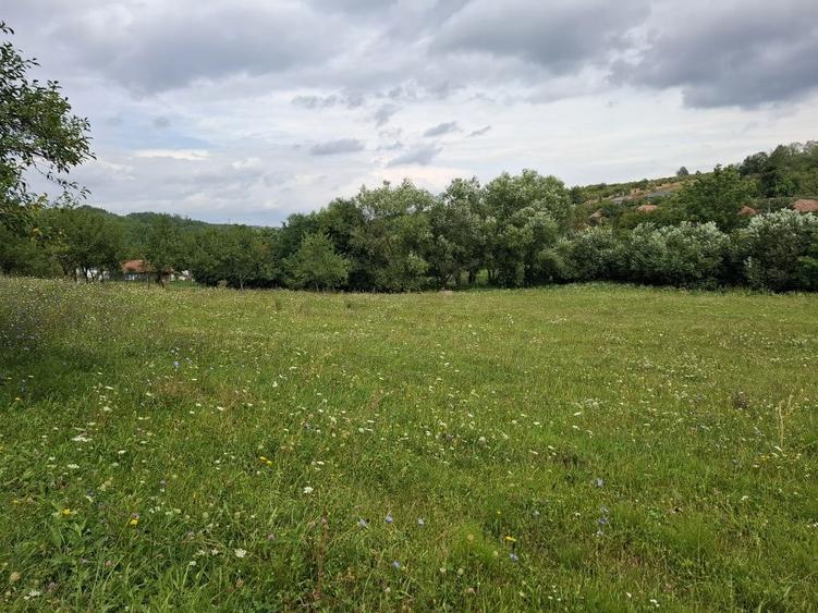 Teren intravilan Fetindia jud Salaj - 3