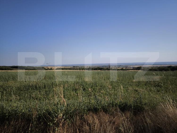 Teren 30.350 mp (600 mp intravilan) – ideal investitie, Carcea Metro - 1