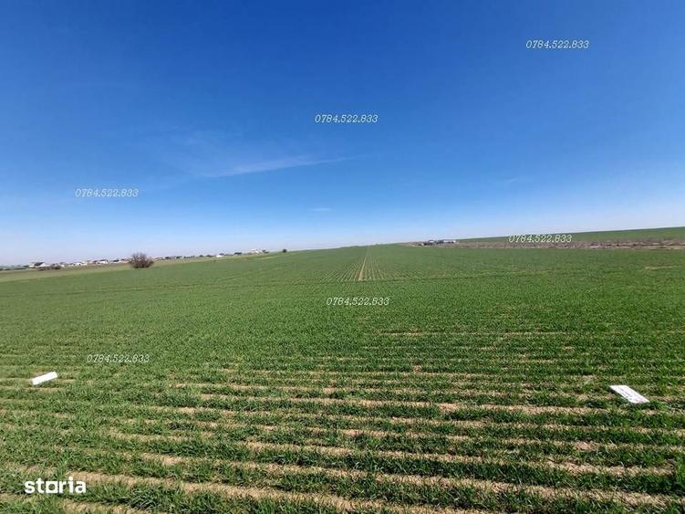 Teren intravilan RATE investitie sigura langa Bucuresti Berceni Ilfov - 10