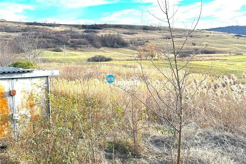 Teren pt case 2000 mp, asfalt, Balciu Miroslava - 3