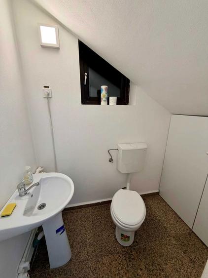 Spatiu comercial de inchiriat - 7