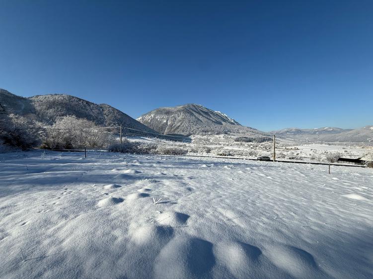 Teren intravilan 500 sau 1000 mp Bran-Tohanita la dum asfaltat - 13