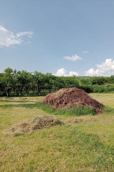 Teren de 2000 mp, în Dărmănești