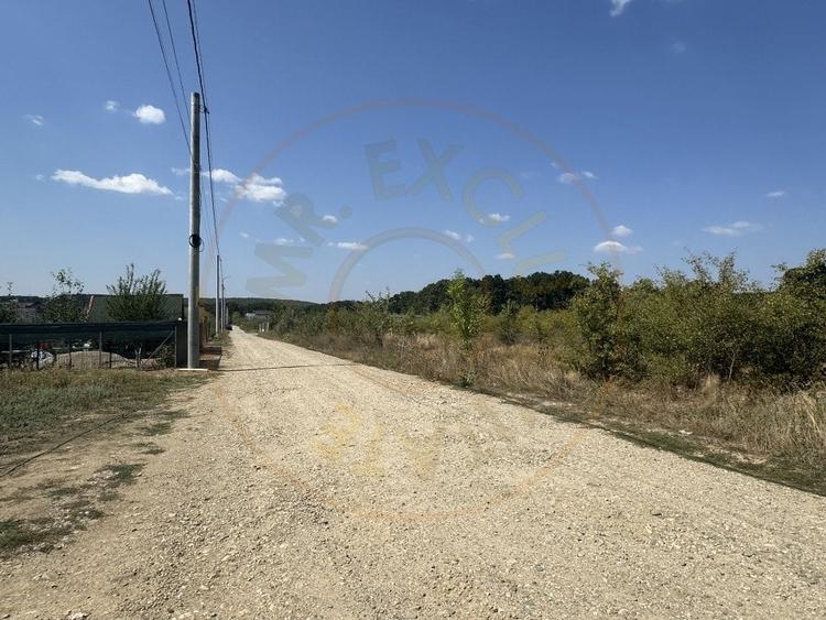 Teren Intravilan Magic Trivale - Aleea Bradului  1040 mp - 3