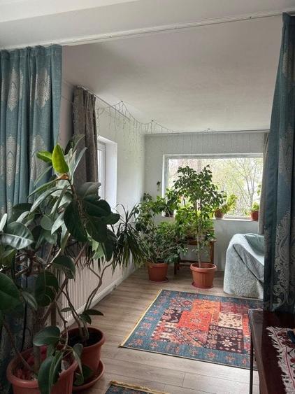 Casa + teren -centrala proprie -Cornetu -Ilfov - 4