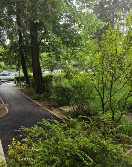 ???? Apartament 4 camere | 76 mp utili | Parter | Cartier S? - 9