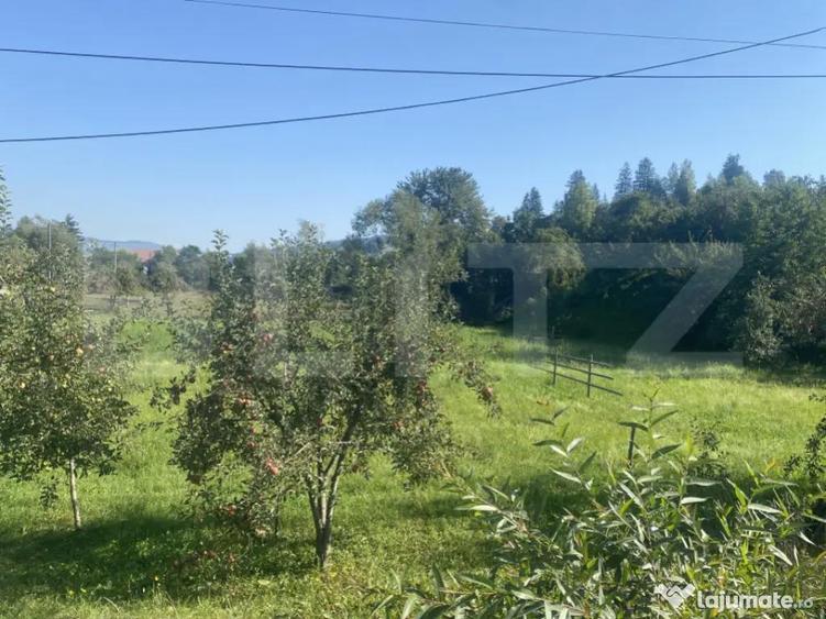 Teren in Doroteia, Plutoni?a, 3880 mp, intravilan - 1