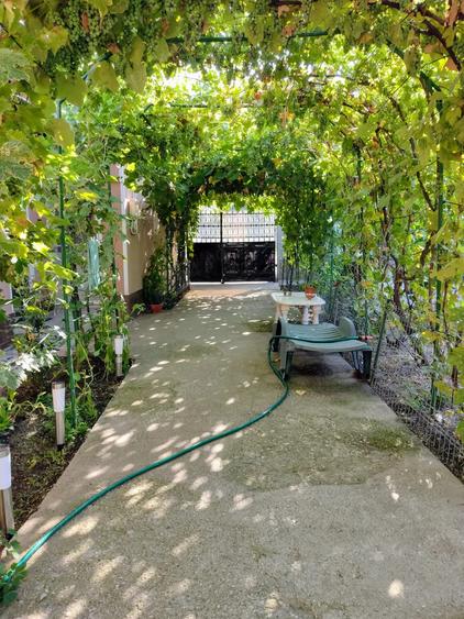 Oportunitate! Proprietate in judetul Arges cu condi?ii de ora? - 3