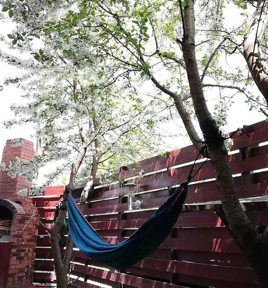 Casa tip duplex –  – Bragadiru Cristalului, vanzare, schimb, inchiriat - 10