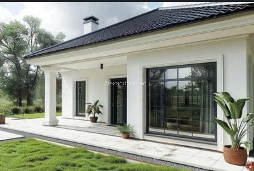 Casa individuala, curte amenajata- Vidra