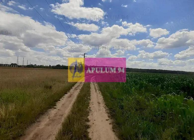 Teren 715mp in Snagov langa Equestria - 20