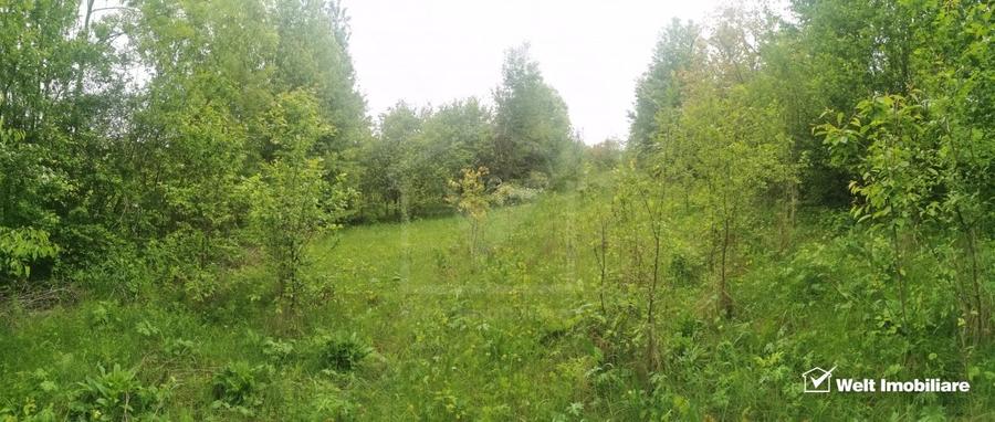 Ocazie!Teren intravilan in comuna Ciurila sat Saliste, priveliste - 1