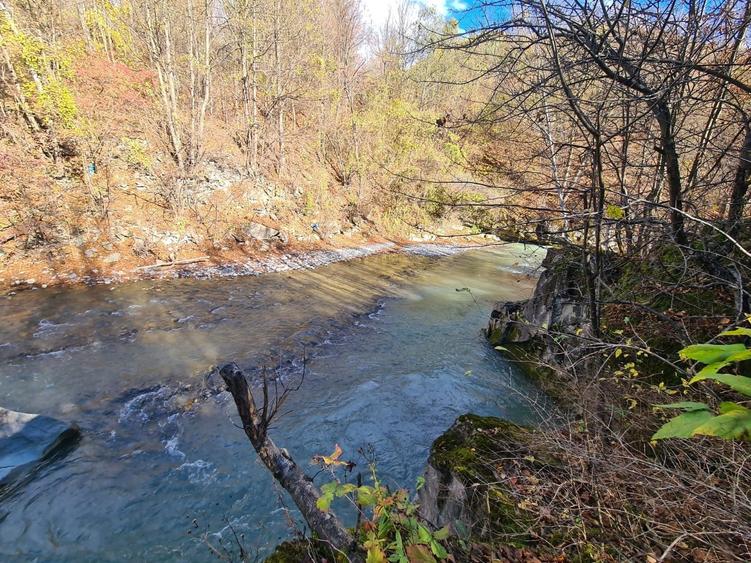 Vand teren Valea Doftanei in coada lacului Paltinu - 13