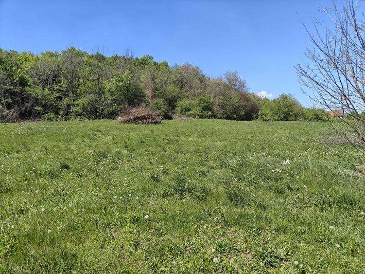 Teren intravilan 1400 m2 - la 10 minute (5 km) de centrul Targu Mures - 6