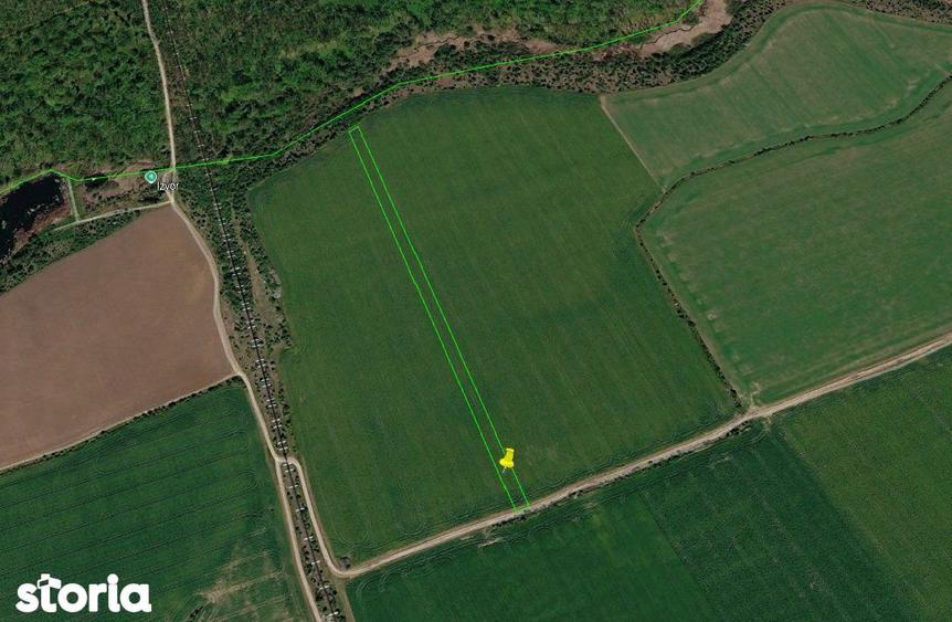 Teren extravilan 7770 mp ~ Snagov ~ Ilfov - 1