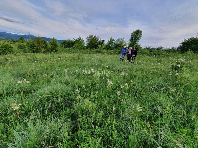 Teren Resita 4350 mp centura Resitei Terova-km 8 negociabil Teren Resita 4350 mp centura Resitei Terova-km 8 negociabil