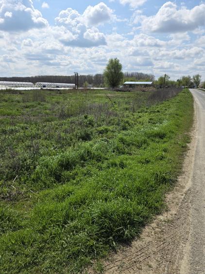 Loturi teren Zatun deschidere la sosea | langa Dunare | pozitie premium - 7