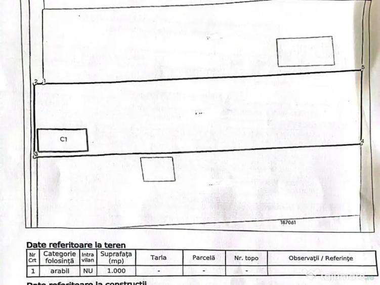 Teren 10 arii extravilan zona Careiului - 5