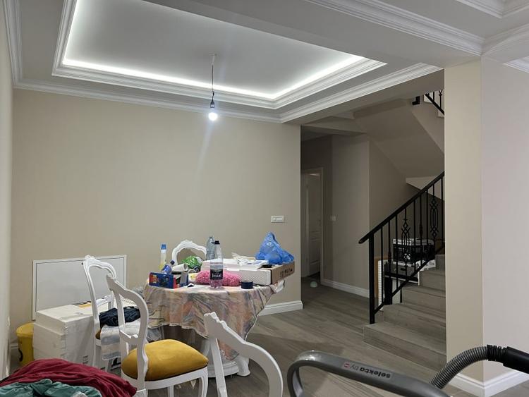 Duplex, 4 camere, 290mp teren, 125mp utili, curent trifazic -  Sacalaz - 9