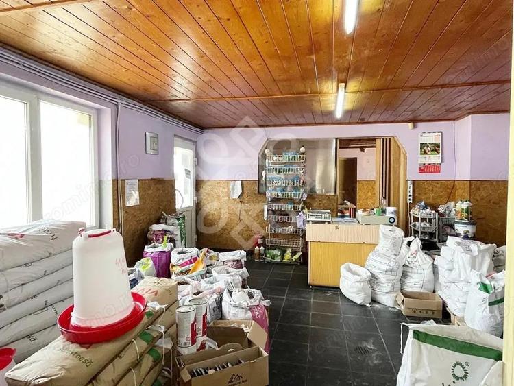 Spatiu comercial de inchiriat in Oncea - 8