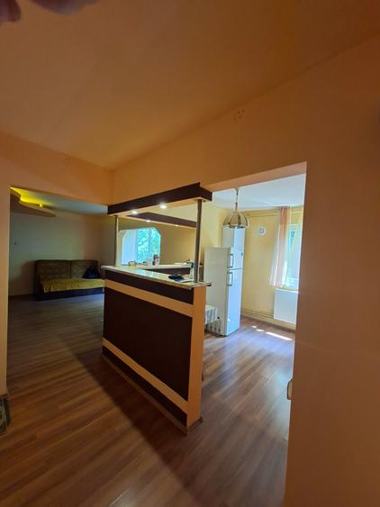 Central, apartament spatios - 4