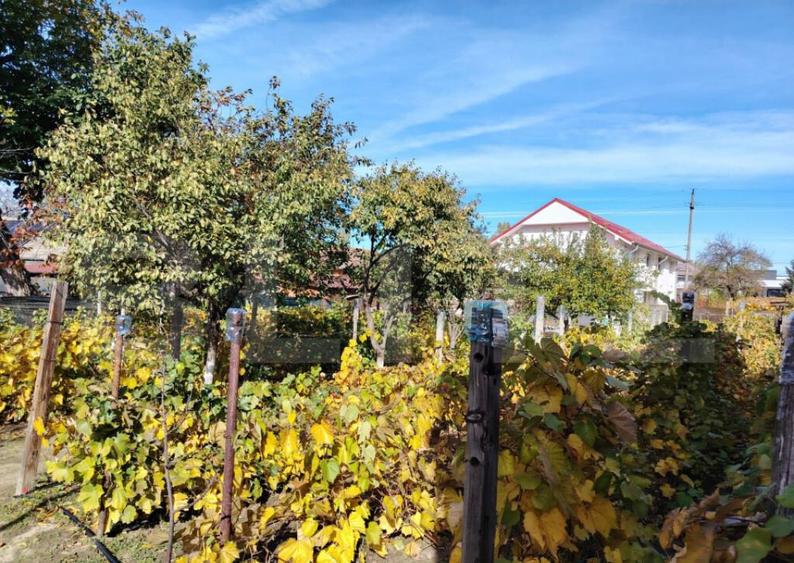 Casa P+M 210 mp utili Craiova, teren 884 mp, cartier Facai - 5