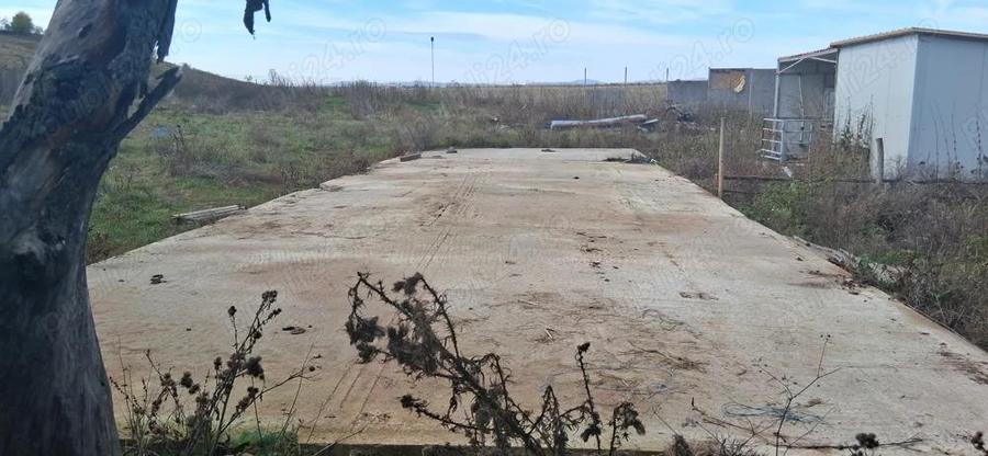 Ferma de vanzare , zona Dambu - 2