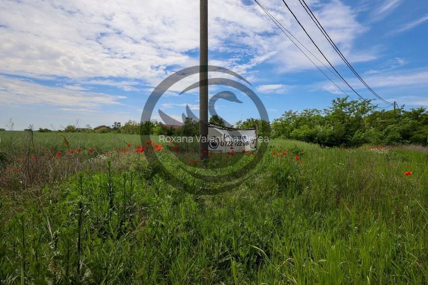 Teren de vanzare | 5000 mp | Parcul Industrial, Ploiesti | COMISION 0% Teren de vanzare | 5000 mp | Parcul Industrial, Ploiesti | COMISION 0%