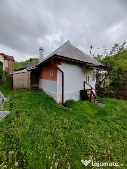 Casa de vanzare Cavnic - 1