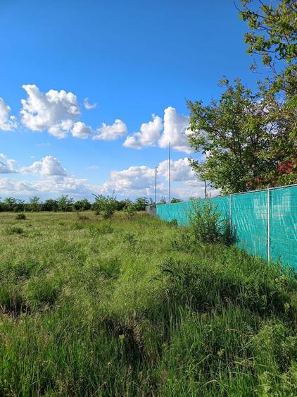 Teren de vanzare Fundeni, la doar 10 minute de Bucuresti! - 2