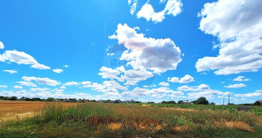 Teren Focsanei / DN sat Focsanei Vadu Pasii - 6