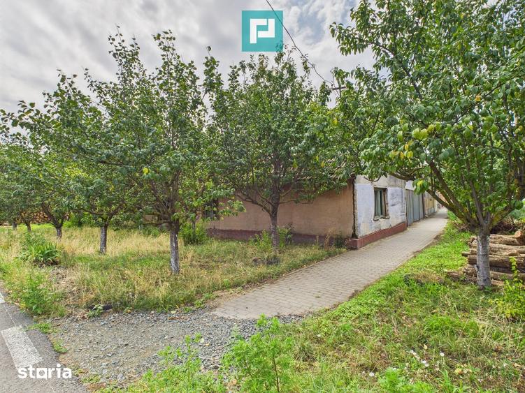Teren de 1440 mp, în Secusigiu