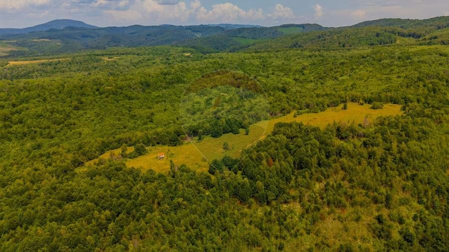 COMISION 0% Teren Grid/Inima Naturii/ Oportunitate de investitie - 7