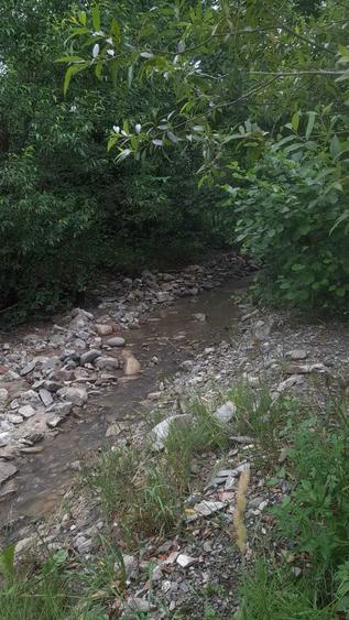 Vand teren intravilan 1632 mp in Poiana Sarata-Oituz - 6