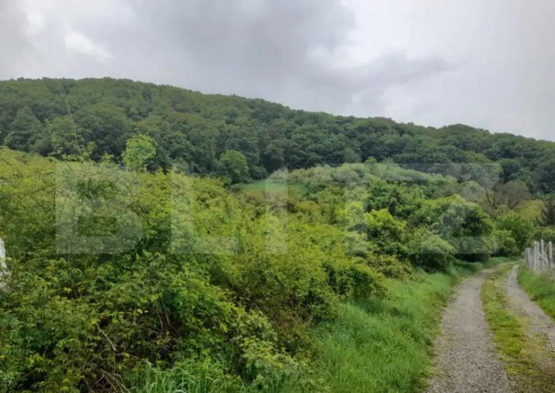 Teren extravilan, 10000 mp, zona Valea Rusului - 3