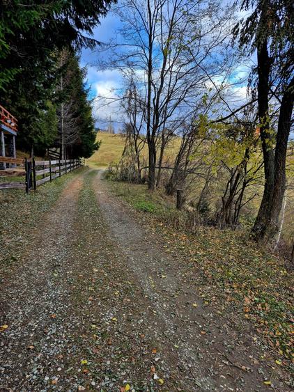 Casa de poveste in satul Pestera, Moeciu Brasov - 9