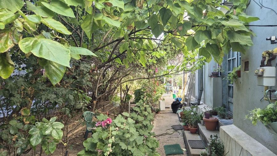 Teren 234 mp + casa P+1 - zona Turda - Mihalache - 2