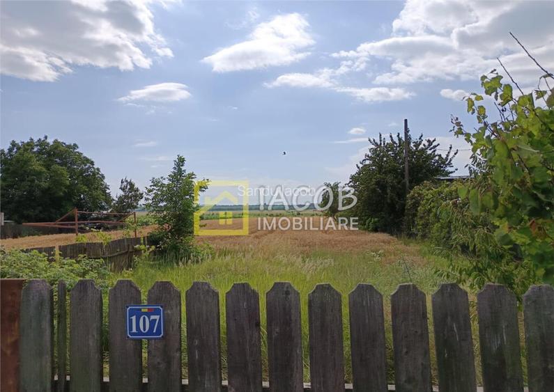 Teren 5000 mp, Dumbrava - Itesti, jud. Bacau, la E85