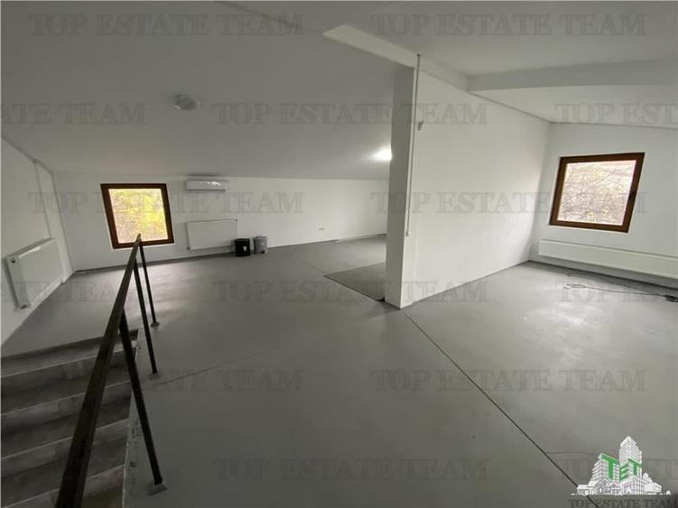 Spatiu comercial, birouri, depozitare de inchiriat in Doamna Ghica - 10
